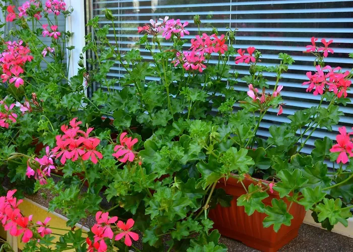 къща славяни 3*